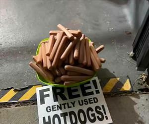free hotdogs