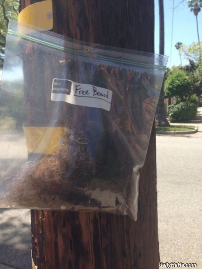 free beard funny picture