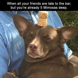 friends are late to the bar