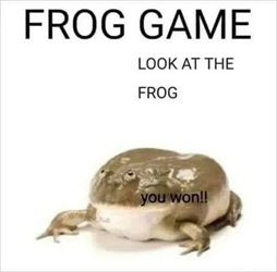 frog game
