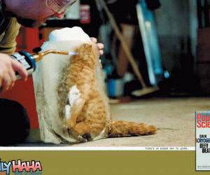 Popular Science Frozen Cat