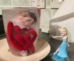 frozen elf funny picture