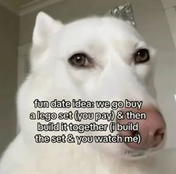 fun date idea