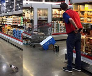 fun day at work today funny picture