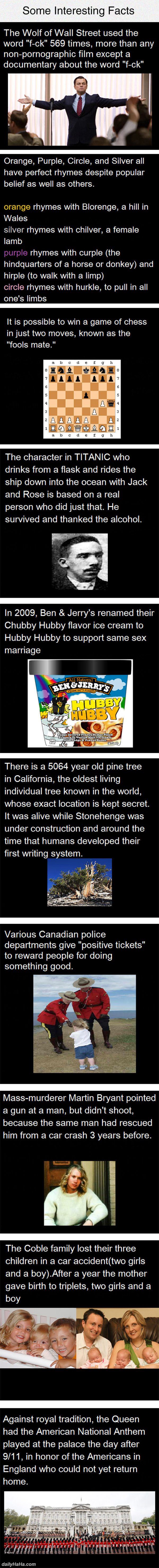 fun facts funny picture