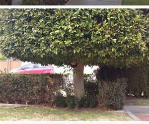 fun of being a gardener funny picture