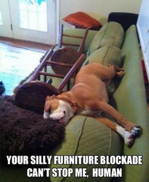 Furniture Blockade funny picture