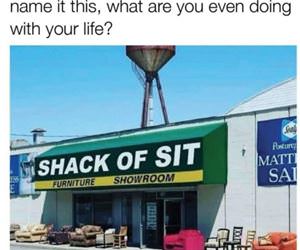 furniture store funny picture