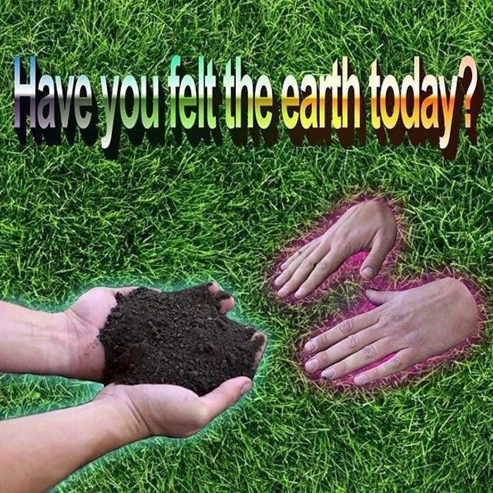 garden-beer-springtime-memes23