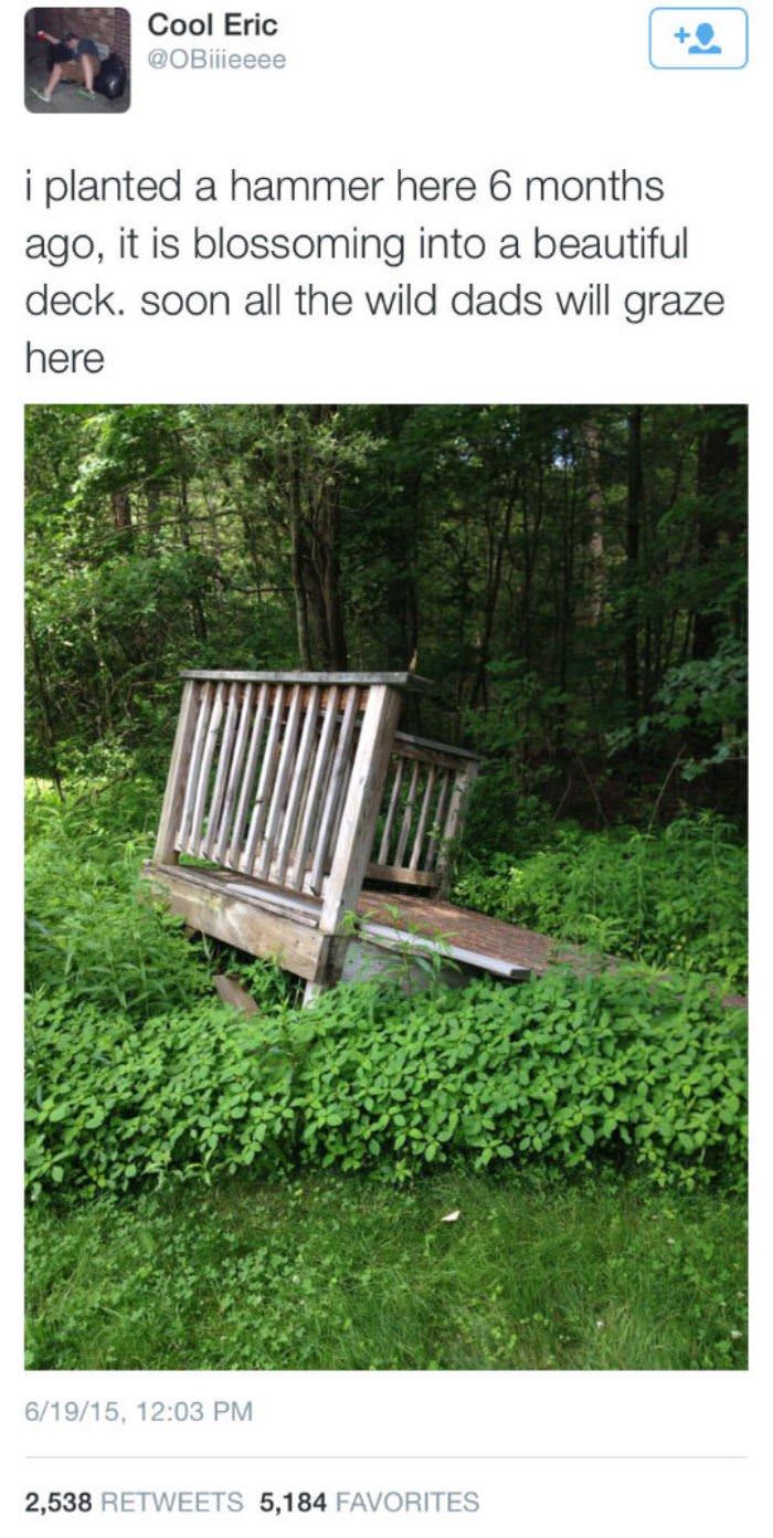 garden is growing funny picture