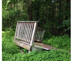 garden is growing funny picture