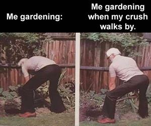 gardening