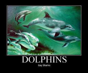 Gay Sharks