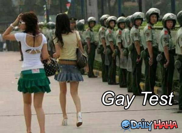 Gay Test funny picture