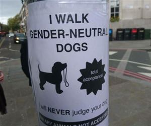 gender neutral dogs funny picture
