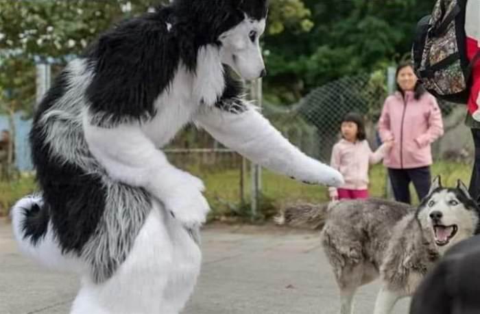 get away from me dog