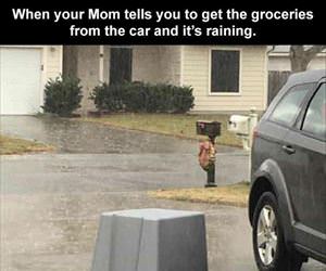 get some groceries