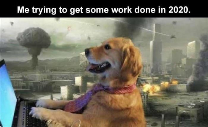 get some work done