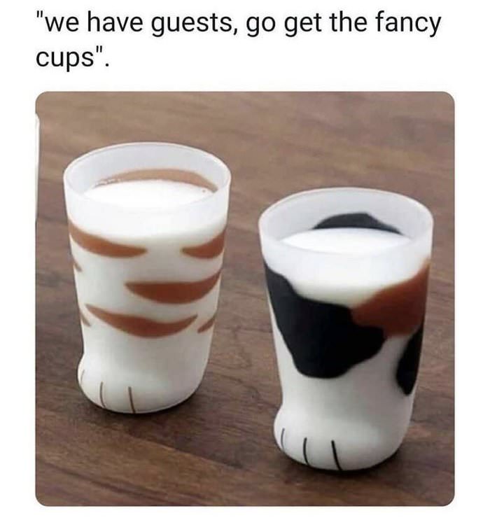 get the fancy cups