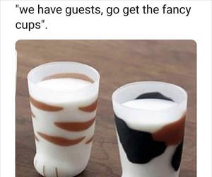 get the fancy cups