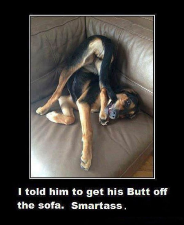Get Your Butt Off funny picture