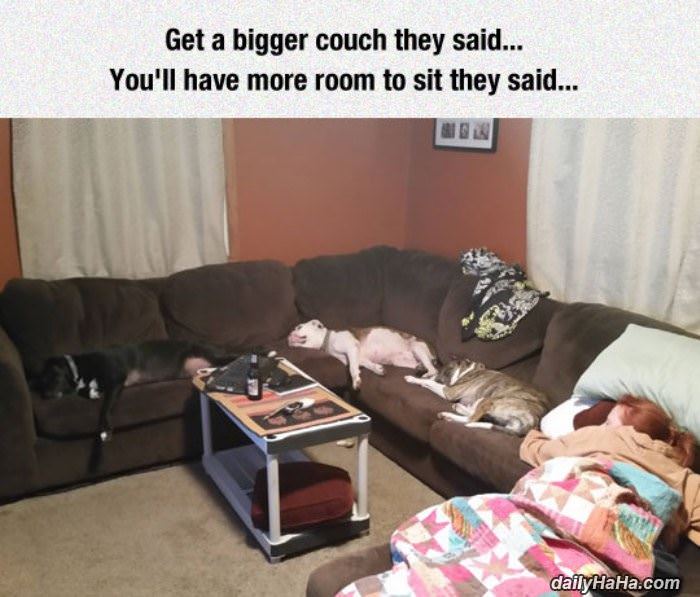get a bigger couch they said funny picture