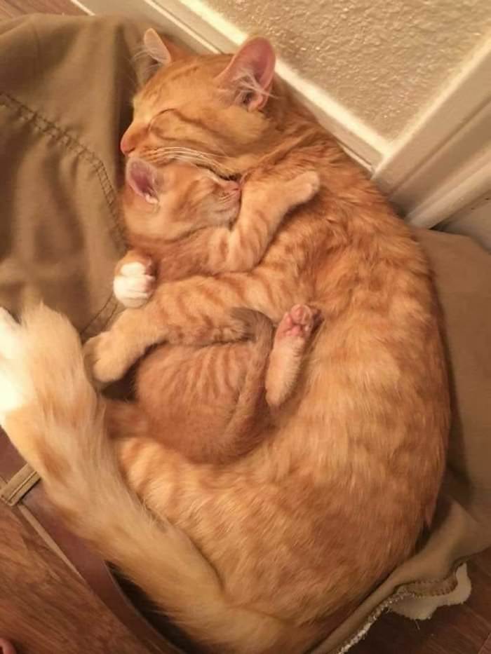 getting all hugged up