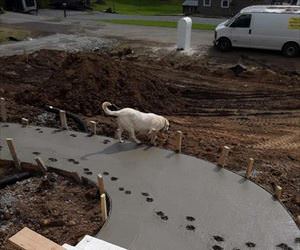 getting into everything