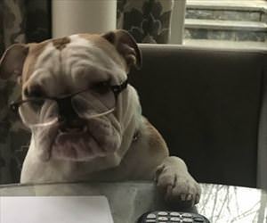 getting my math homework done