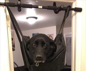 getting nails trimmed