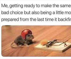 getting ready to make some choices