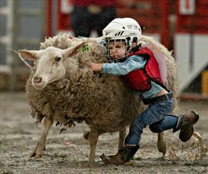 getting them riding young