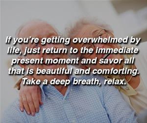 getting overwhelmed funny picture