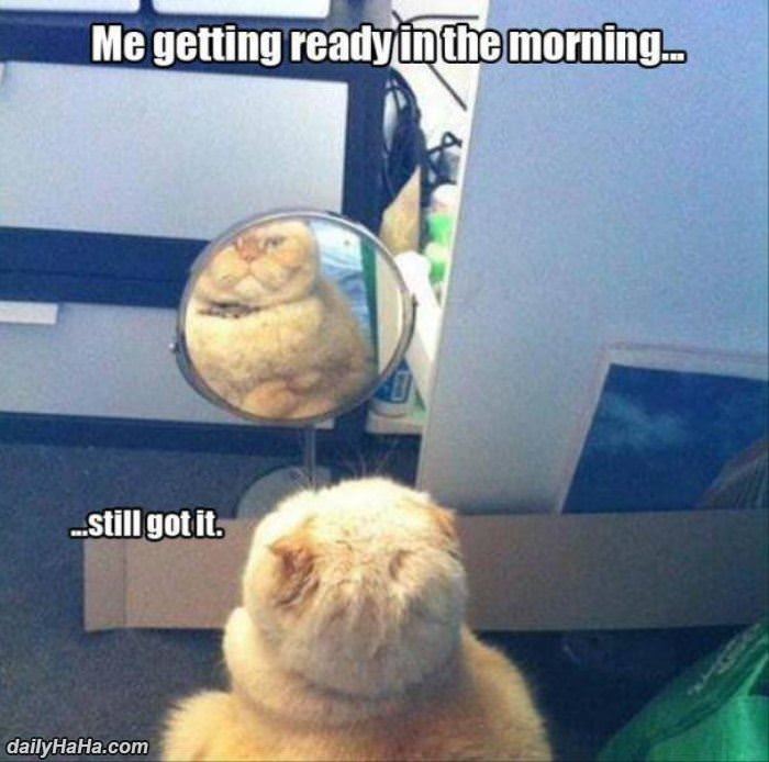 getting ready in the morning funny picture