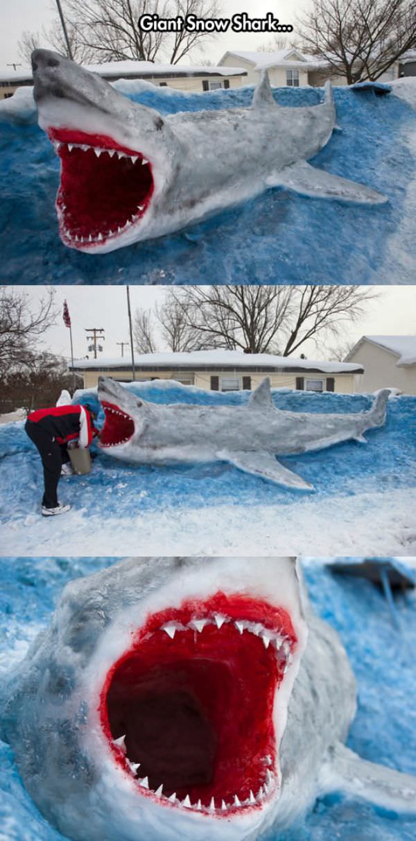 Giant Snow Shark funny picture