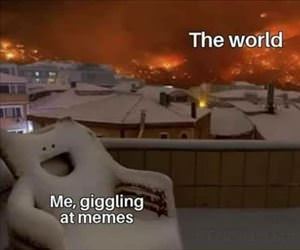 giggling at memes