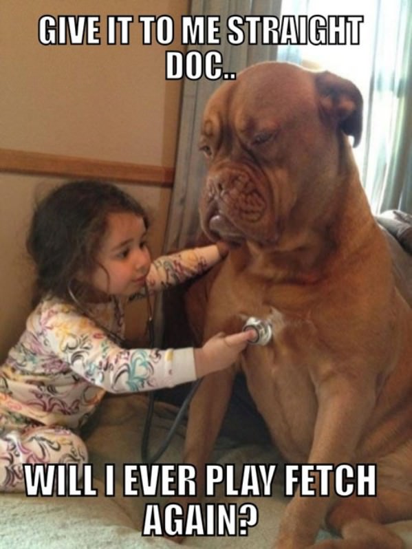 Will I Play Fetch funny picture