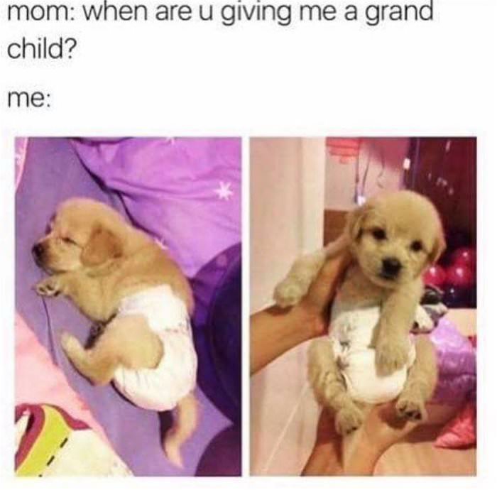give me a grand child