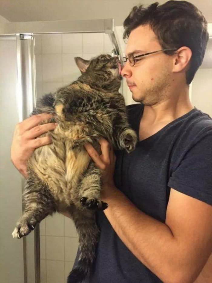 give me a kiss human