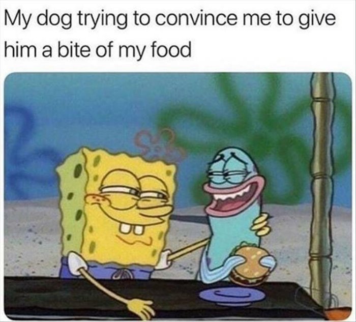 give one bite