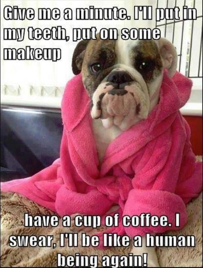 give me one minute funny picture