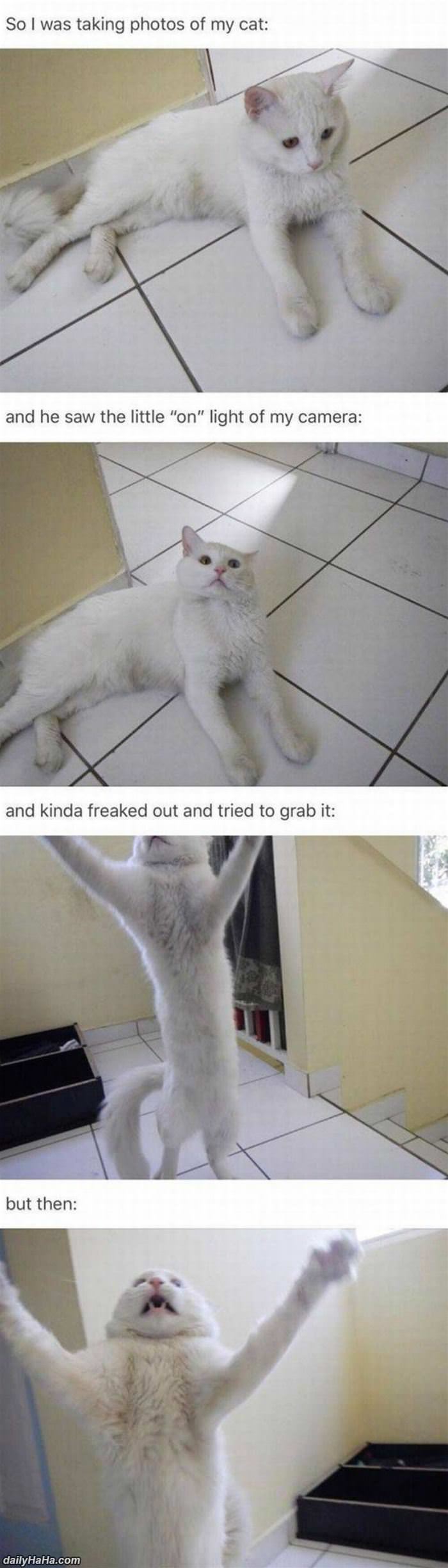 give me that camera funny picture