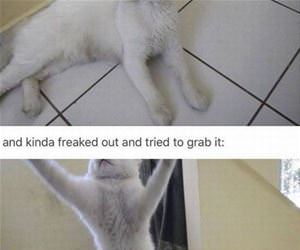 give me that camera funny picture