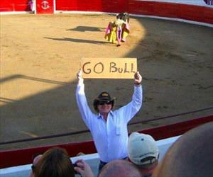 go Bull
