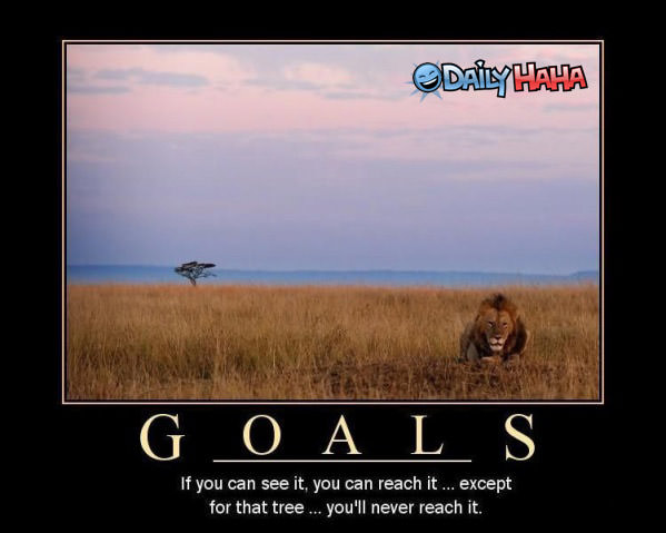Goals funny picture