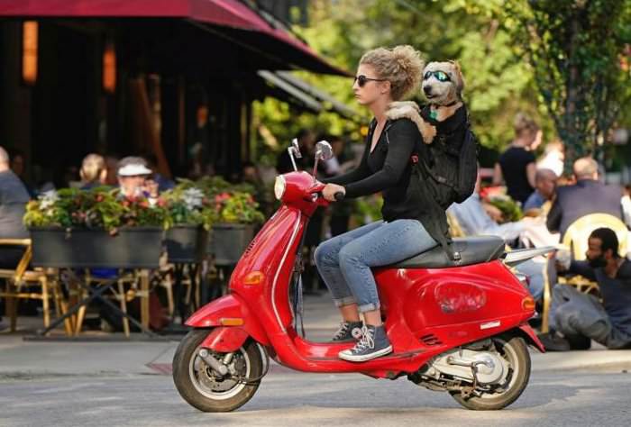 going for a ride ... 2