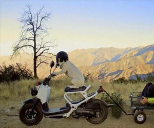 going on an adenture