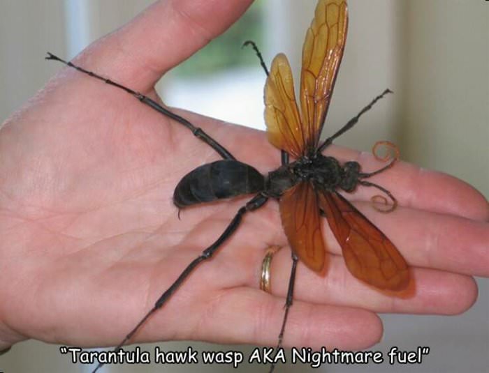 going to be a no for me ... 2