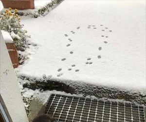 going to be a no for me ... 2