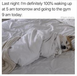 going to the gym ... 2